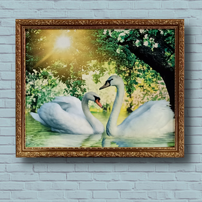 Картина репродукция в раме фотокартина горизонтальная "Пара Лебедей на рассвете" 45*55*2 см RP-000285 фото