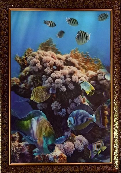 Фотокартина 3D вертикальная в рамке Анималистика "Морские рыбки" 65.5*45.5*2 см 3d - 006 фото